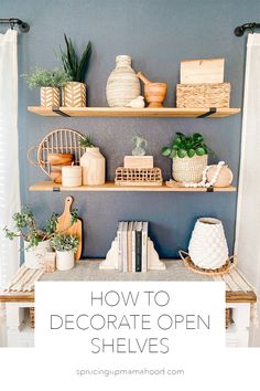 a shelf with books, plants and other items on it