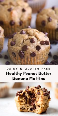 healthy peanut butter banana muffins with chocolate chips on top and the title reads dairy & gluten free healthy peanut butter banana muffins