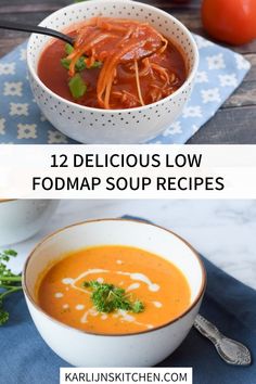 Lactose Free Appetizers, Fodmap Soup Recipes, Low Fodmap Soup Recipes, Fodmap Soups, Blended Soup Recipes, Simple Soup Recipes