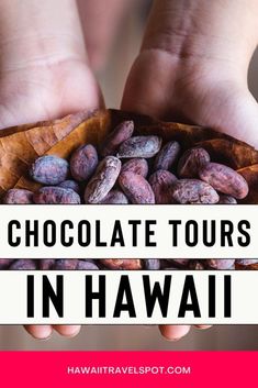 If you're a chocolate lover visiting Hawaii, there are plenty of delicious tours to add to your itinerary. There are farms on the Big Island, but there are also farms located all across the Hawaiian islands. No matter which island you’re on, you’re sure to find a delicious chocolate farm waiting for you. From tours of cacao farms to chocolate tastings like Ku’ia Estates Chocolate Factory, and more. Head over to the blog for all 9 of the Hawaii chocolate farms to visit on your Hawaiian vacation. Visiting Hawaii, Goat Yoga, Drinking Around The World, Coffee Farm, Farm Tour, Hawaiian Vacation, The Big Island, Mouth Watering Food