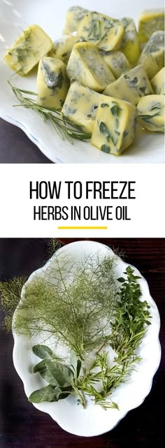 how to freeze herbs in olive oil on a white plate with text overlay that reads, how to freeze herbs in olive oil