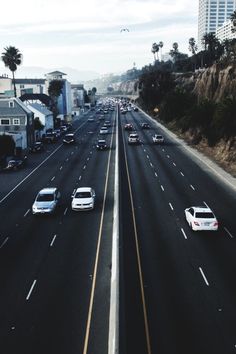 cars are driving down an empty highway with palm trees on both sides and tall buildings in the background