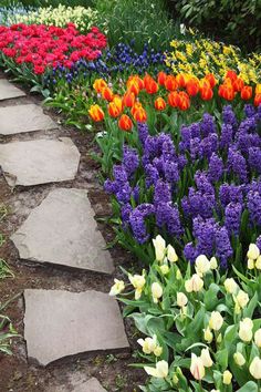 many different colored flowers are growing in the dirt path next to some stone stepping stones