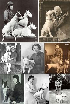 an old black and white photo shows many different people with their dogs, from the early 1900's to today