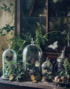 three glass cloches with plants and butterflies in them on top of a table