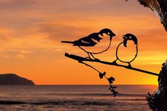 two birds sitting on a branch in front of an orange sunset over the ocean and mountains