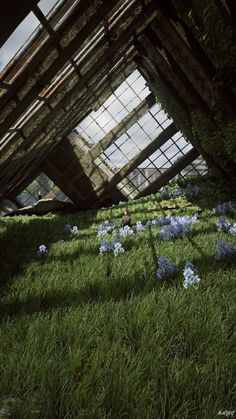 the interior of an abandoned building with blue flowers growing on the ground and grass in front of it