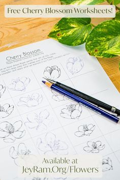 the free cherry blossom worksheets are available at jekyram org / flowers