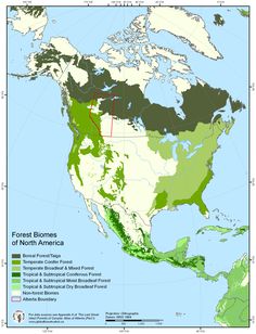 an image of the map of north america showing forest biomes and their distributions