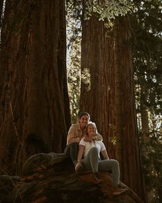 two women are sitting on a log in the middle of a grove of redwood trees