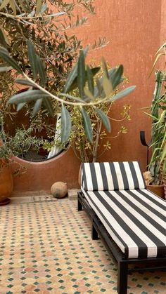 a black and white striped chaise lounger sitting in front of a potted plant