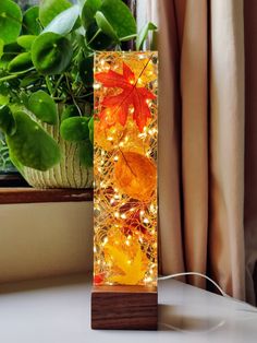 a wooden stand with autumn leaves on it next to a potted plant and window