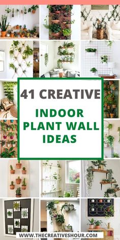 Transform your space into a lush sanctuary with captivating indoor plant wall ideas that span from modern to farmhouse aesthetics. Embrace DIY creativity for a personal touch, or infuse your surroundings with bohemian energy. Explore the art of plant wall hanging gardens or cultivate serenity in your bedroom. Even artificial plants offer a low-maintenance solution that brings the outdoors in. Diy Planter Wall Indoor, Indoor Wall Planter Ideas Modern, Indoor Wall Plants Decor, Plants On A Wall Outside, Where To Put Hanging Plants Indoor, Indoor Hanging Plants Ideas Wall, Wall Hangers For Plants, Plant Wall Hangers Indoor, Hanging Plants On The Wall