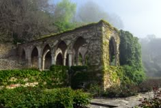 an old stone building with ivy growing on it's sides in the foggy forest