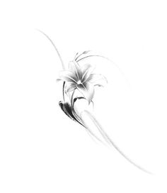 a black and white drawing of a flower on a white background with the words,