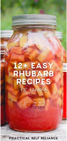 jars filled with canned rhubarb and text overlay reads, 12 easy rhubarb recipes for eating practical self reliance