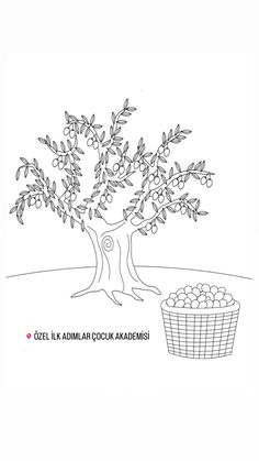 an apple tree next to a basket full of apples, with the words zeilk admin colauk akemi