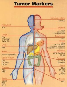 diagram of the human body and its major organs, including the tumr markers