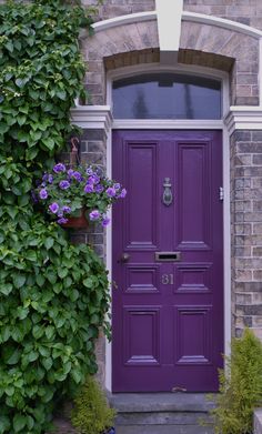 a purple door is in front of a brick building with ivy growing on the side