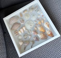 there are many sea shells in the shadow box on the floor next to a couch