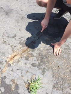 a man kneeling down next to a plant on top of a cement ground with his hands in the ground