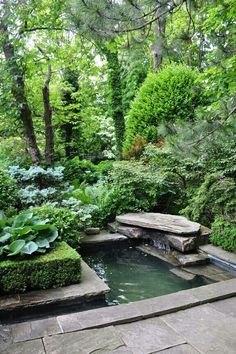 a small pond in the middle of a lush green garden with stone benches and trees