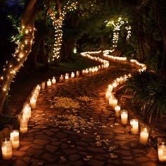 many lit candles are lined up on the path