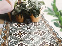 two potted plants sitting on top of a tiled floor