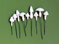 five white mushrooms are lined up on a green surface