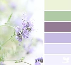 purple and green color palettes with flowers