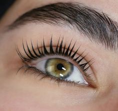 Lash Lift Training, Cambridge Ontario, Beauty Lash, Formula Cans, Lash Serum, Beautiful Lashes, Youre Not Alone, Sensitive Eyes, For Lash