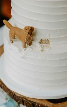 a small dog standing on top of a white cake