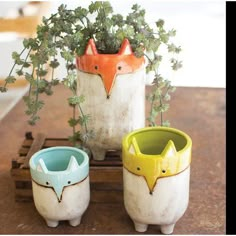 three ceramic cups with plants in them on a table