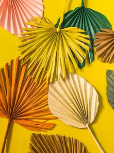 four different colored paper fans on a yellow background with green and pink leaves attached to them