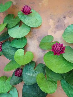 water lilies are growing on the side of a wall with green leaves and pink flowers