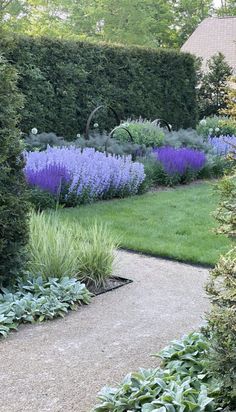 a garden filled with lots of purple flowers