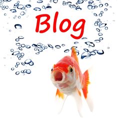 a goldfish in front of bubbles with the word blog above it