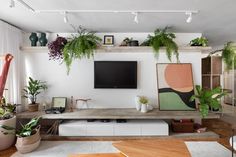 a living room with potted plants and a flat screen tv mounted on the wall