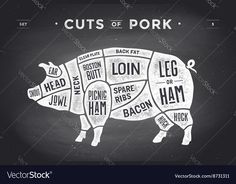 the cuts of pork on a chalkboard background for butchers and meating business