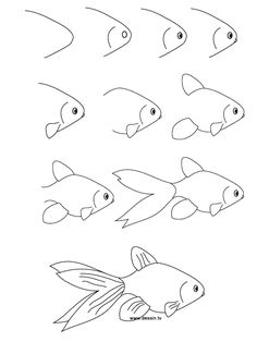 how to draw a fish step by step for kids and beginners in easy steps