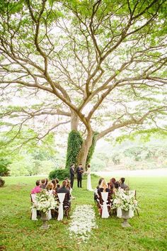 a wedding ceremony under a large tree with white flowers and greenery on the ground