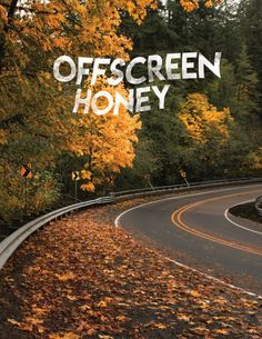 the words off screen honey are written in white on a curved road surrounded by autumn leaves