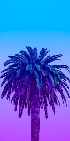 a palm tree with purple and blue colors in the background, against a pink sky