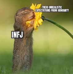 Mbti Memes, Introvert Problems