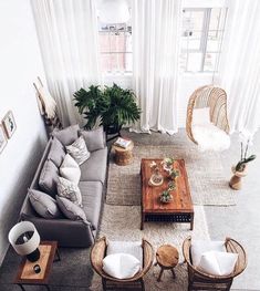 an aerial view of a living room with furniture and plants in the corner, including a coffee table