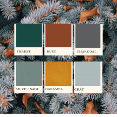 the color scheme for an evergreen tree