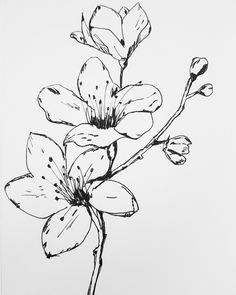 a black and white drawing of flowers