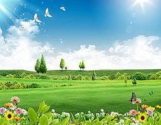 a beautiful green field with flowers and butterflies flying over the grass on a sunny day