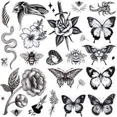 an assortment of butterflies and flowers on a white background