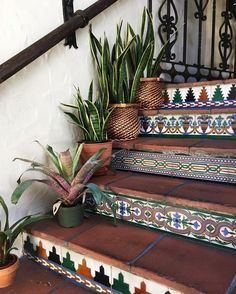 some potted plants are sitting on the steps next to a stair case and railing